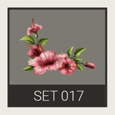 Set No. 017